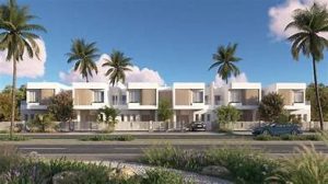 مشروع ذا ايلاند