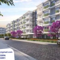 كمبوند إيلم تري 6 أكتوبر Elm Tree 6th of October