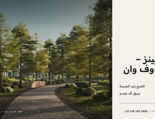 باين لينز هيلز أوف وان الشيخ زايد الجديدة